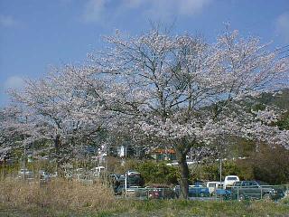 �ԉH���H�����1