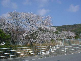 �ԉH���H�����