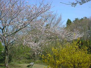 南高野史跡公園