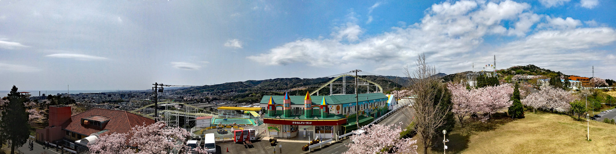 パノラマ公園展望台下のソメイヨシノ桜