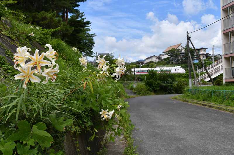 田尻小学校北側