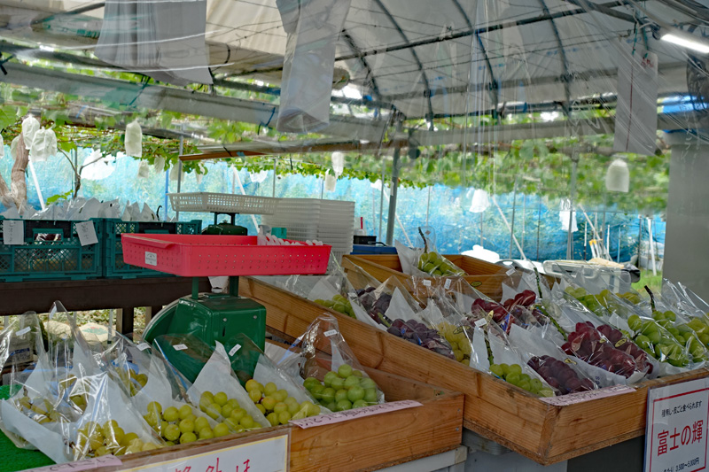 高橋ぶどう園