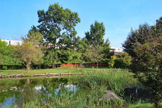 赤羽緑地公園