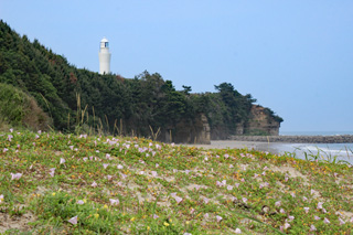 日立灯台